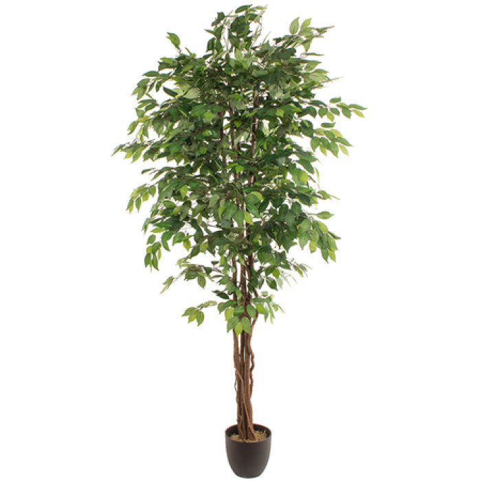 Artificial plant FICUS 2.20m